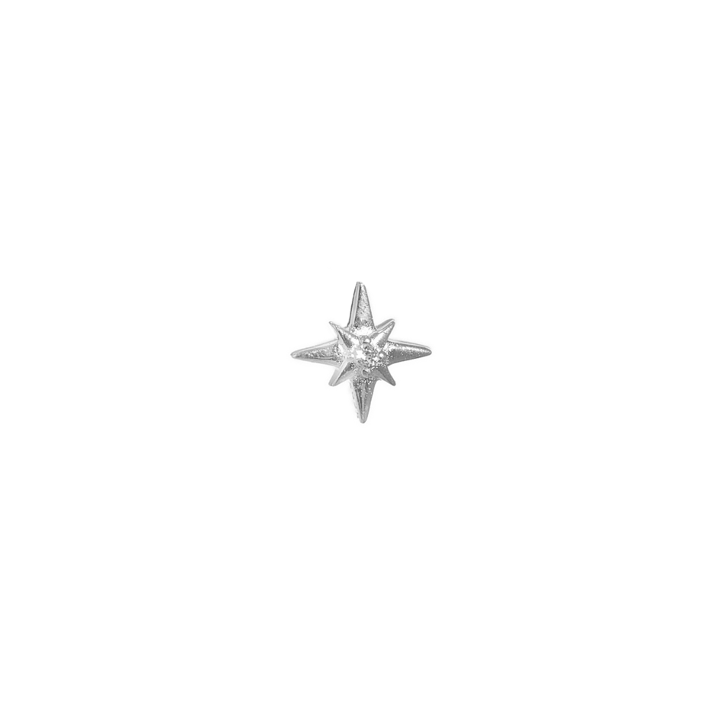 Starlight - Sparkling Starlight | Charms | Stow Lockets