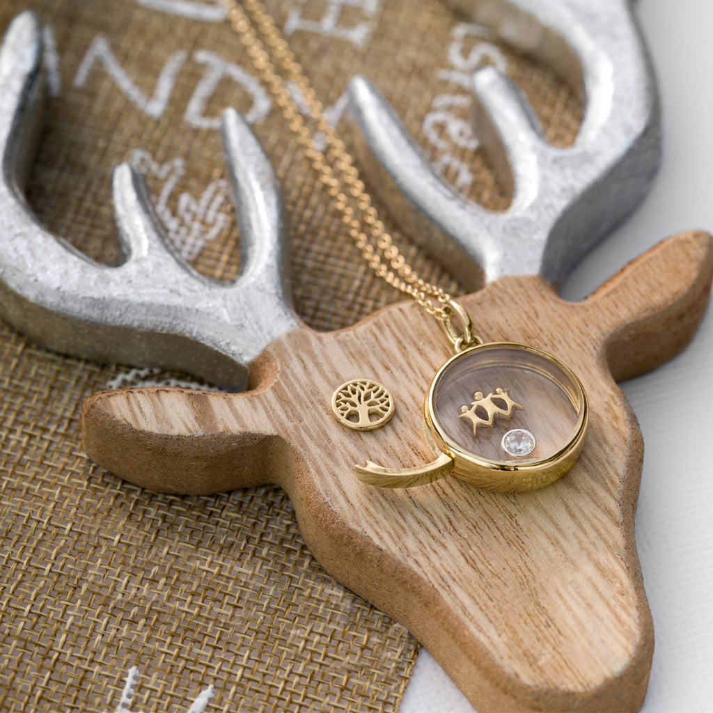 Medium Gold Locket | Lockets | Stow Lockets