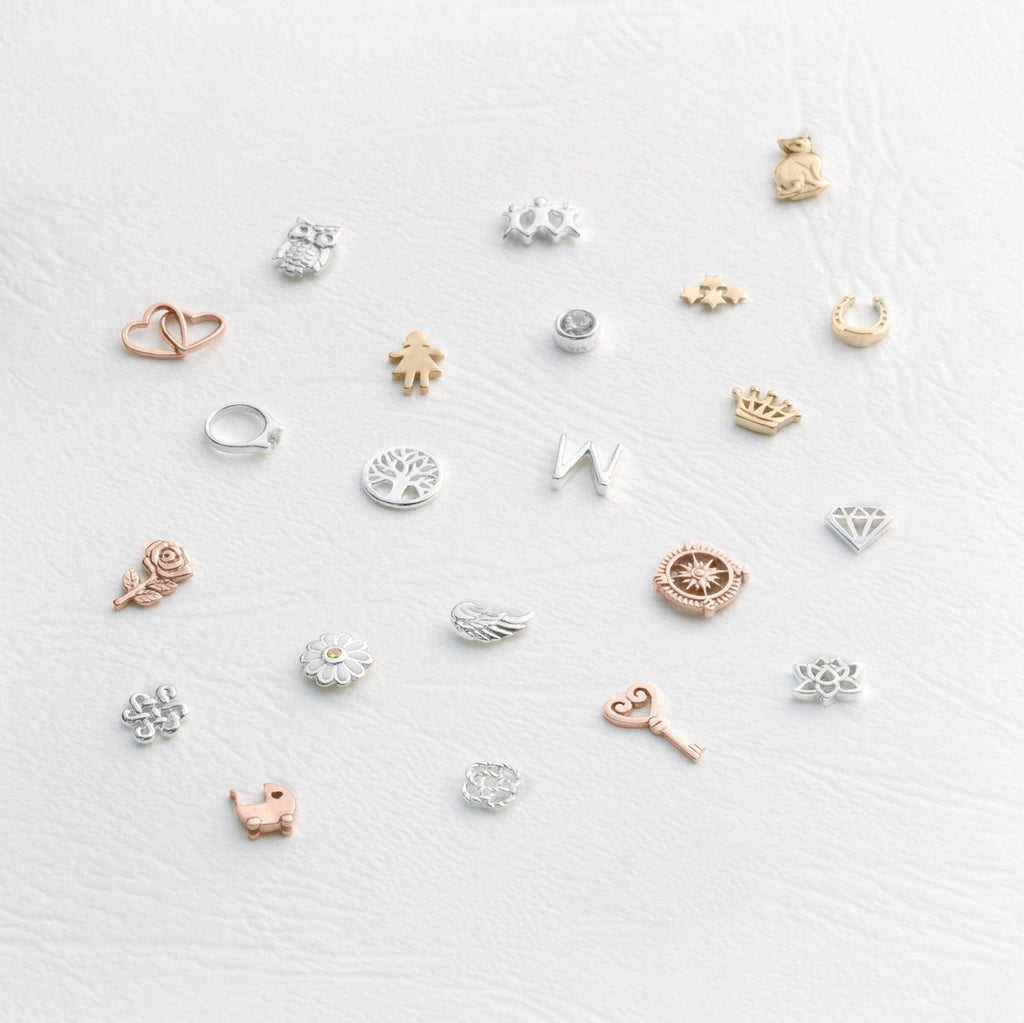 Owl - Wise One | Charms | Stow Lockets