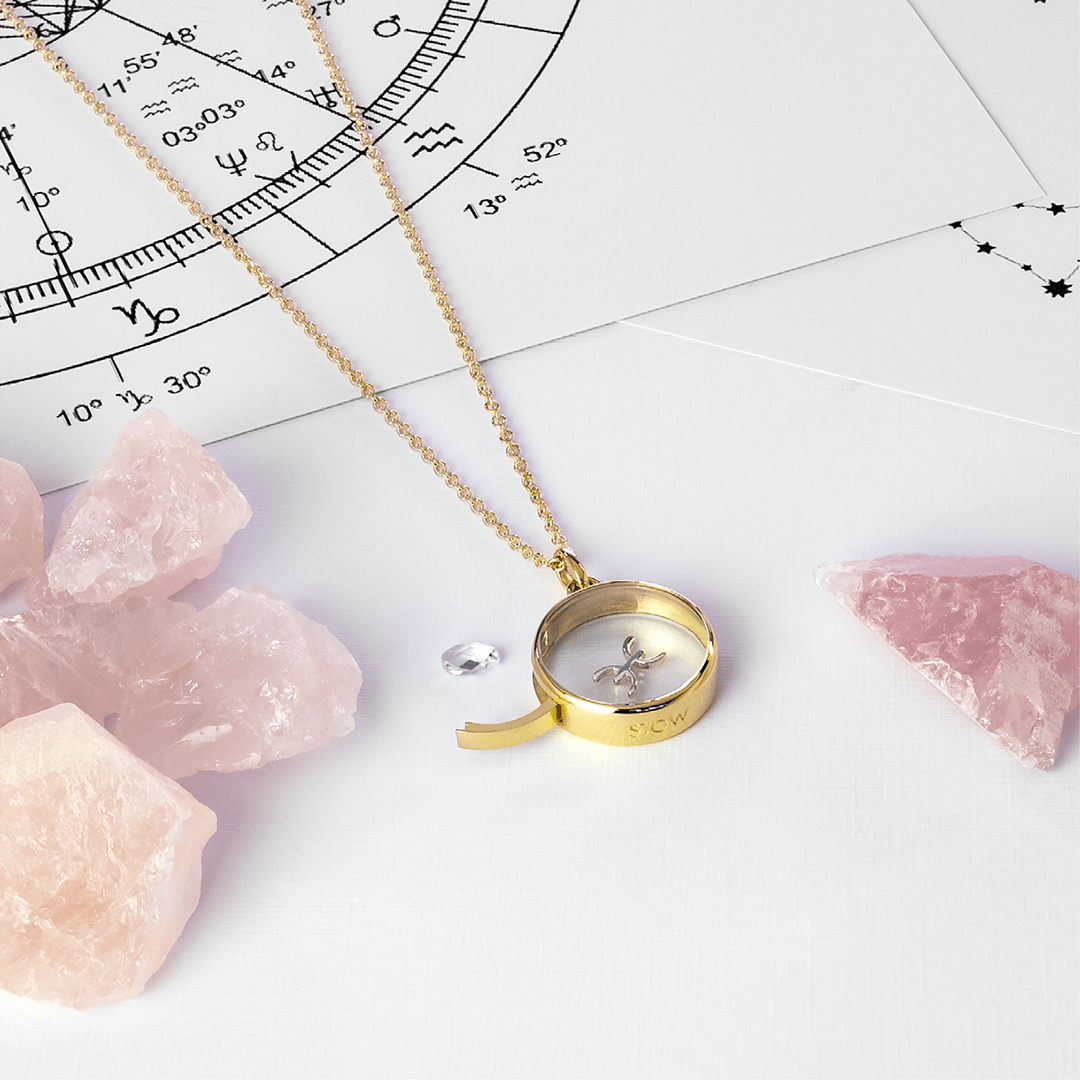 Pisces - Wise | Charms | Stow Lockets