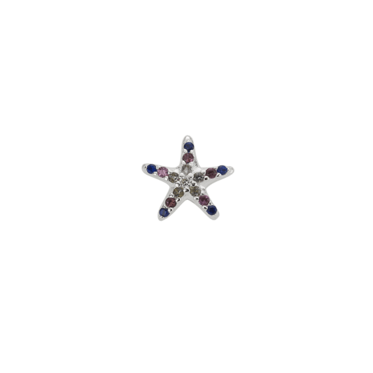 Indigo Starfish - Treasured | New | Stow