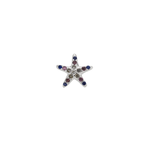 Starfish (CZ) - Treasured