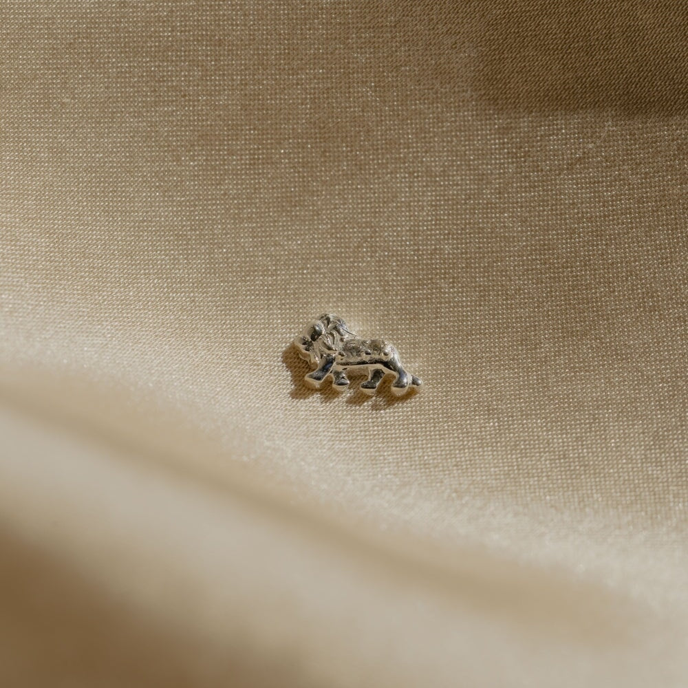 Lion - Fearless | Charms | Stow Lockets