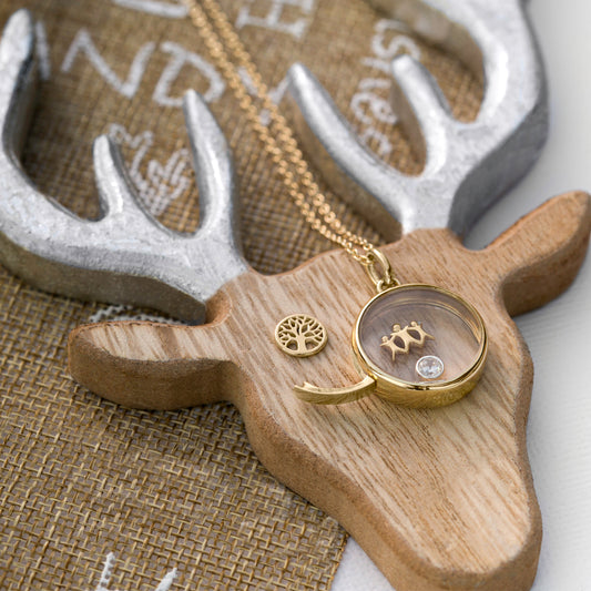 Medium Gold Locket | Lockets | Stow Lockets
