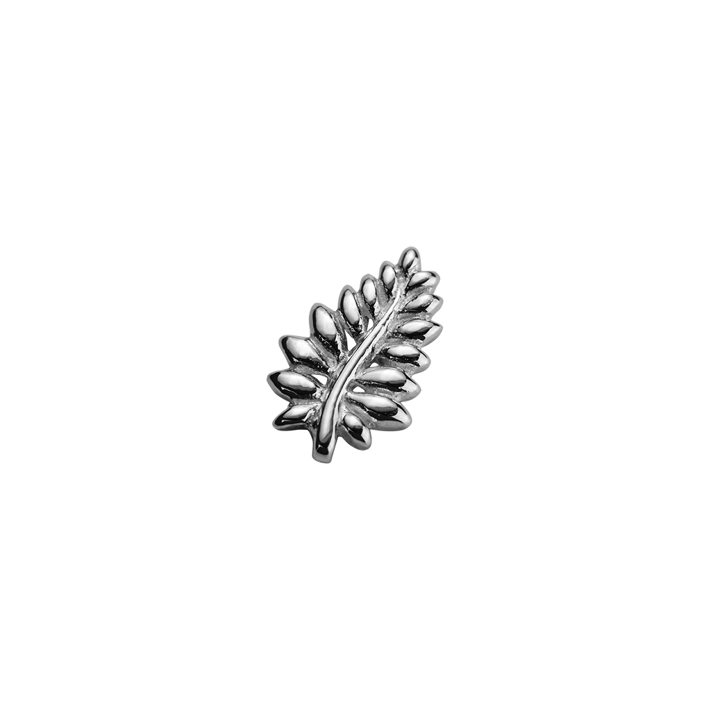 Stow Lockets sterling silver NZ Fern - Loyal silver charm
