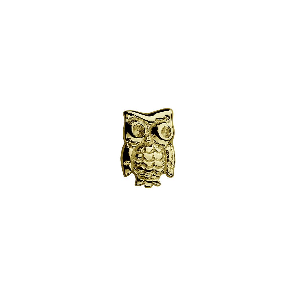 Stow Lockets solid 9ct Gold Owl - Wise One charm