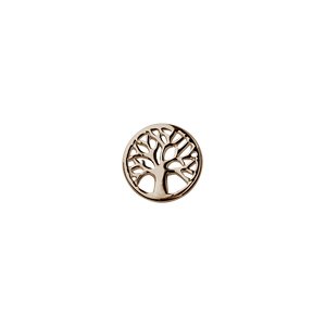 Celebrate Life Set | Sets | Stow Lockets