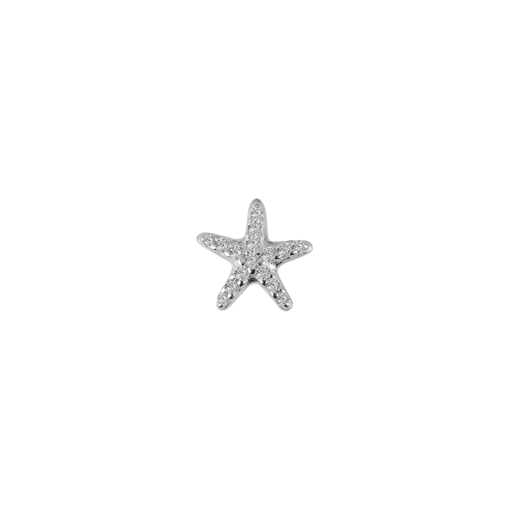 Starfish - Treasured | Charms | Stow Lockets